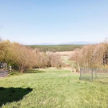 Grafs Im Suedburgenland * Oberdorf im Burgenland