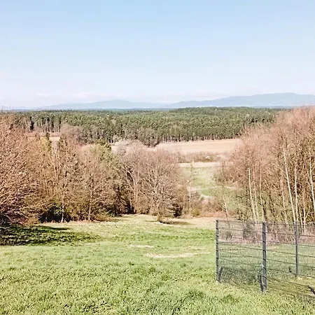 Grafs Im Suedburgenland *