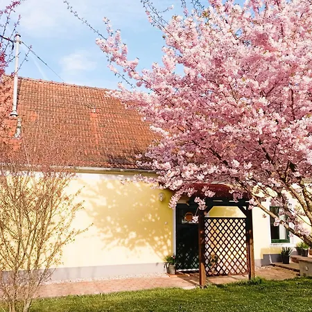 Vakantiehuis Grafs Im Suedburgenland *