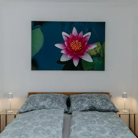 Grafs Im Suedburgenland *