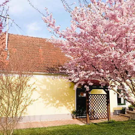 Holiday home Grafs Im Suedburgenland Oberdorf im Burgenland