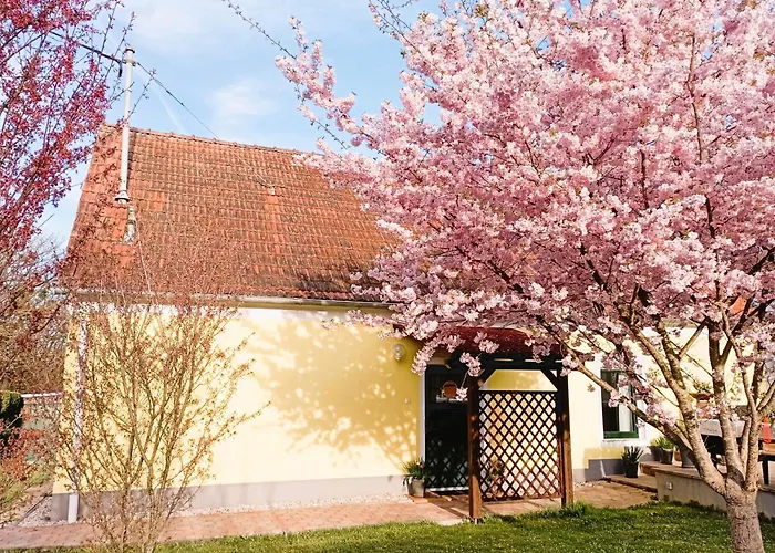 Holiday home Grafs Im Suedburgenland *